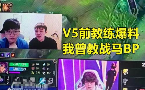 v5教练最新爆料