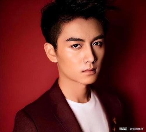 娱乐圈爆料陈晓,娱乐圈新恋情引发热议